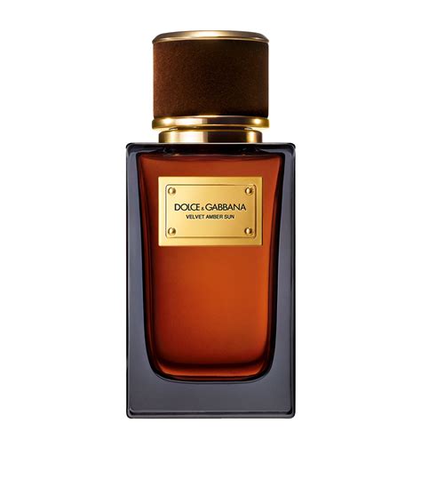 dolce gabbana velvet amber sun review|velvet amber sun perfume.